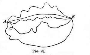 James paths of thought