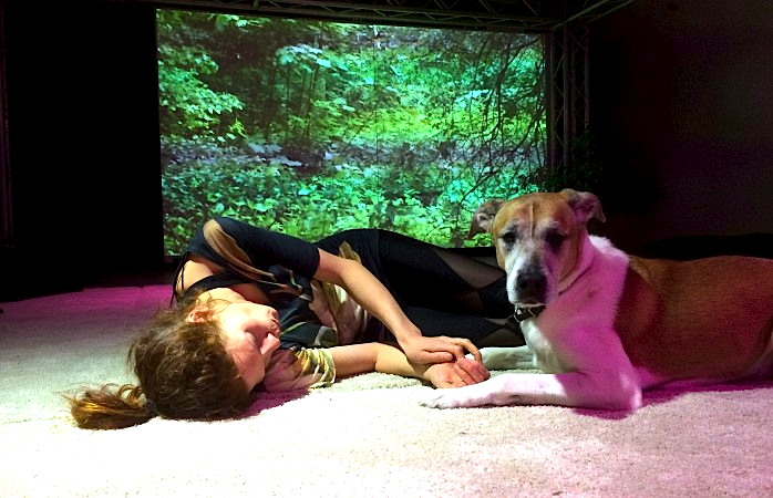 BB2014HelsinkiOutidog